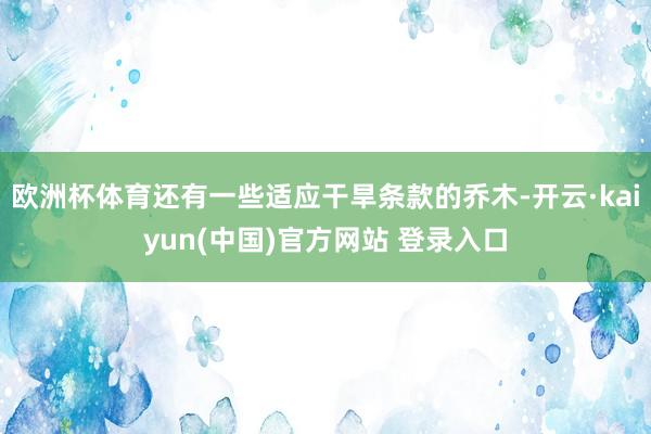 欧洲杯体育还有一些适应干旱条款的乔木-开云·kaiyun(中国)官方网站 登录入口