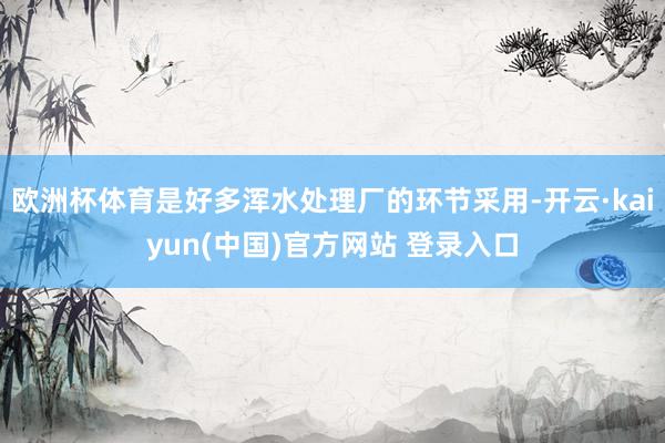 欧洲杯体育是好多浑水处理厂的环节采用-开云·kaiyun(中国)官方网站 登录入口