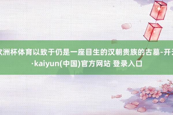 欧洲杯体育以致于仍是一座目生的汉朝贵族的古墓-开云·kaiyun(中国)官方网站 登录入口