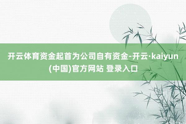 开云体育资金起首为公司自有资金-开云·kaiyun(中国)官方网站 登录入口