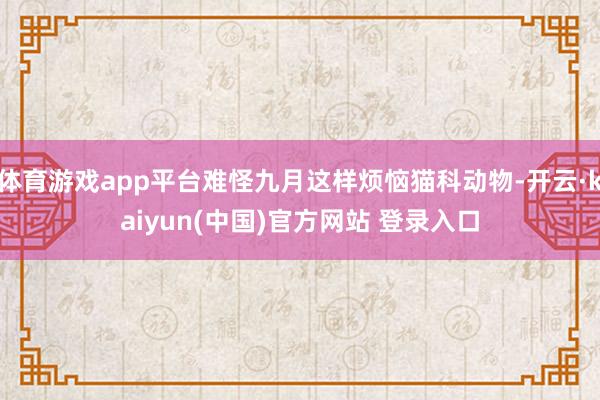 体育游戏app平台难怪九月这样烦恼猫科动物-开云·kaiyun(中国)官方网站 登录入口
