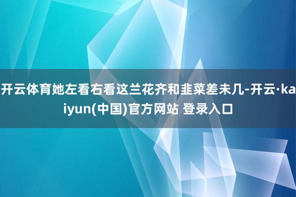 开云体育她左看右看这兰花齐和韭菜差未几-开云·kaiyun(中国)官方网站 登录入口