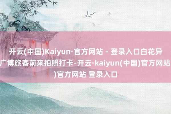 开云(中国)Kaiyun·官方网站 - 登录入口白花异木棉诱导广博旅客前来拍照打卡-开云·kaiyun(中国)官方网站 登录入口