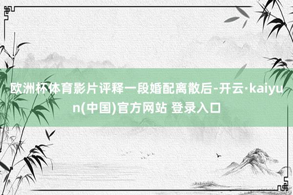 欧洲杯体育影片评释一段婚配离散后-开云·kaiyun(中国)官方网站 登录入口