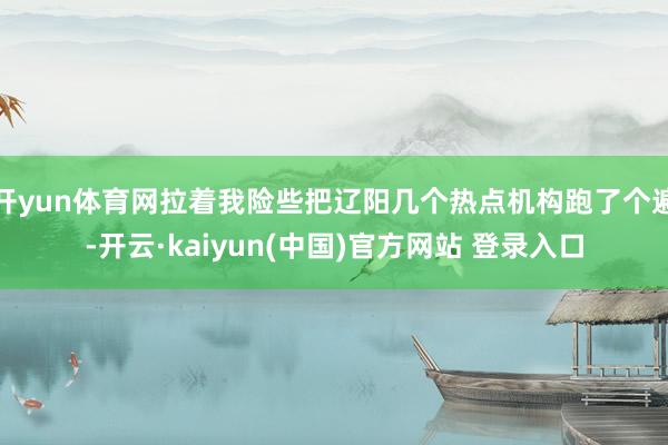 开yun体育网拉着我险些把辽阳几个热点机构跑了个遍-开云·kaiyun(中国)官方网站 登录入口