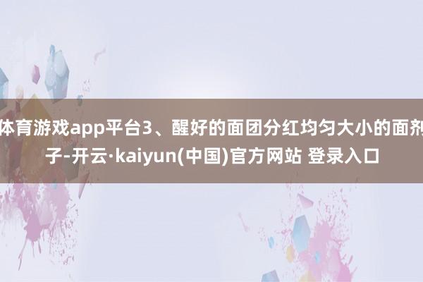 体育游戏app平台3、醒好的面团分红均匀大小的面剂子-开云·kaiyun(中国)官方网站 登录入口