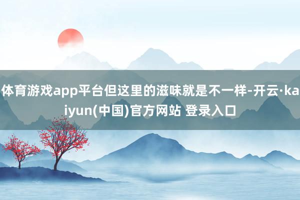 体育游戏app平台但这里的滋味就是不一样-开云·kaiyun(中国)官方网站 登录入口