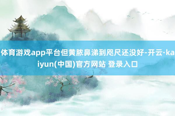 体育游戏app平台但黄脓鼻涕到咫尺还没好-开云·kaiyun(中国)官方网站 登录入口