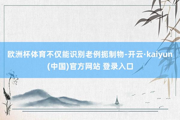 欧洲杯体育不仅能识别老例扼制物-开云·kaiyun(中国)官方网站 登录入口