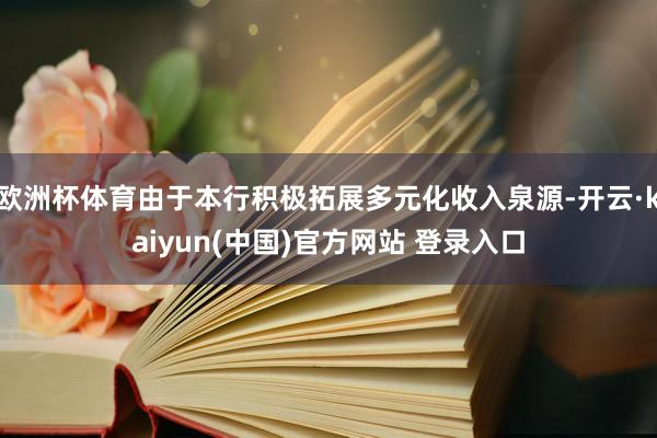 欧洲杯体育由于本行积极拓展多元化收入泉源-开云·kaiyun(中国)官方网站 登录入口