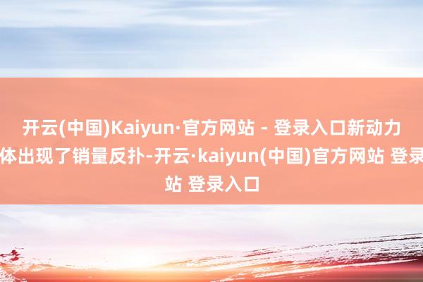 开云(中国)Kaiyun·官方网站 - 登录入口新动力车全体出现了销量反扑-开云·kaiyun(中国)官方网站 登录入口