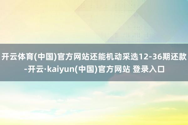开云体育(中国)官方网站还能机动采选12-36期还款-开云·kaiyun(中国)官方网站 登录入口