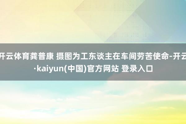 开云体育龚普康 摄图为工东谈主在车间劳苦使命-开云·kaiyun(中国)官方网站 登录入口