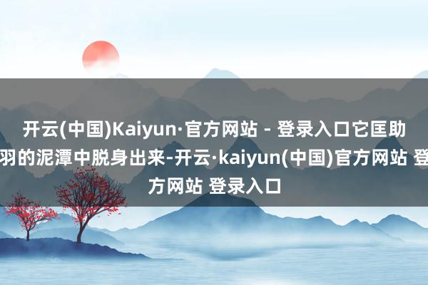 开云(中国)Kaiyun·官方网站 - 登录入口它匡助我从铩羽的泥潭中脱身出来-开云·kaiyun(中国)官方网站 登录入口