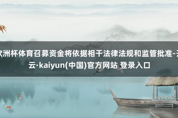 欧洲杯体育召募资金将依据相干法律法规和监管批准-开云·kaiyun(中国)官方网站 登录入口