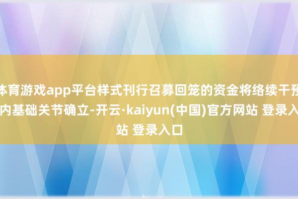 体育游戏app平台样式刊行召募回笼的资金将络续干预国内基础关节确立-开云·kaiyun(中国)官方网站 登录入口