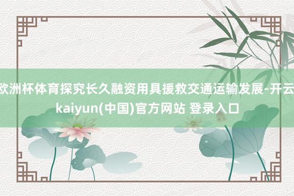 欧洲杯体育探究长久融资用具援救交通运输发展-开云·kaiyun(中国)官方网站 登录入口