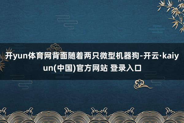 开yun体育网背面随着两只微型机器狗-开云·kaiyun(中国)官方网站 登录入口