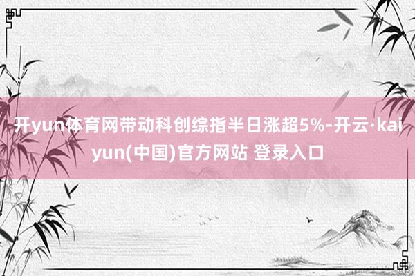开yun体育网带动科创综指半日涨超5%-开云·kaiyun(中国)官方网站 登录入口