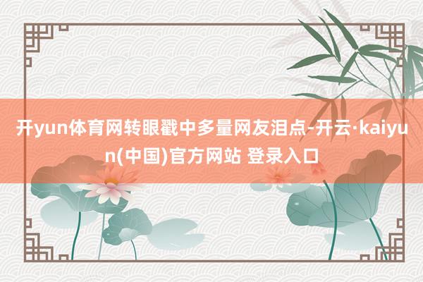 开yun体育网转眼戳中多量网友泪点-开云·kaiyun(中国)官方网站 登录入口
