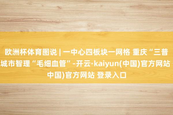 欧洲杯体育图说 | 一中心四板块一网格 重庆“三普及”流畅城市智理“毛细血管”-开云·kaiyun(中国)官方网站 登录入口
