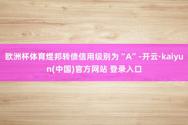 欧洲杯体育煜邦转债信用级别为“A”-开云·kaiyun(中国)官方网站 登录入口