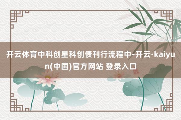 开云体育中科创星科创债刊行流程中-开云·kaiyun(中国)官方网站 登录入口